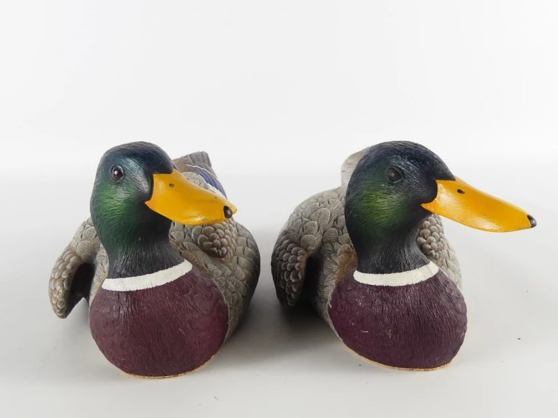 Mallardfamilie (Wilde Eend) – Bijzondere decoratieve eendencollectie
