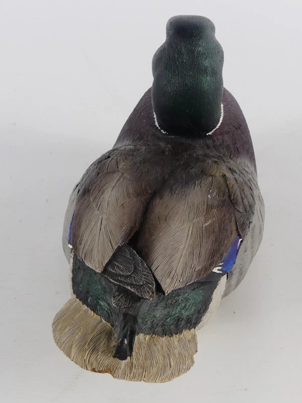 Mallardfamilie (Wilde Eend) – Bijzondere decoratieve eendencollectie