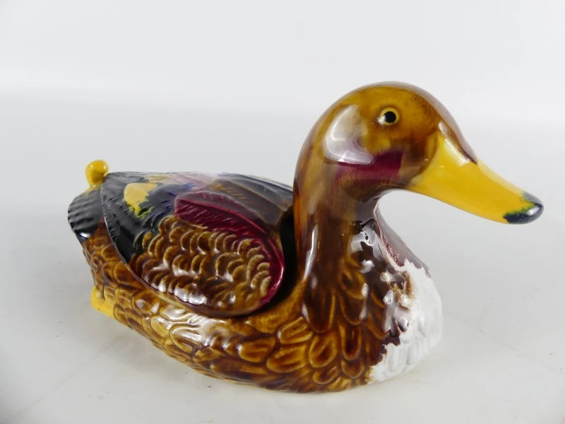 Mallardfamilie (Wilde Eend) – Bijzondere decoratieve eendencollectie