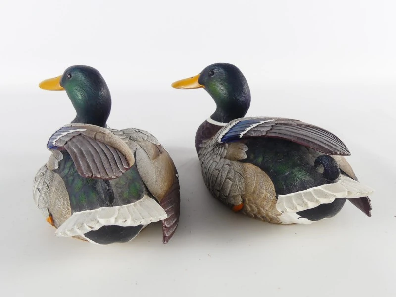 Mallardfamilie (Wilde Eend) – Bijzondere decoratieve eendencollectie