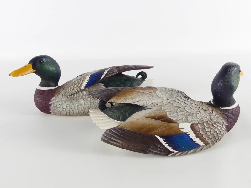Mallardfamilie (Wilde Eend) – Bijzondere decoratieve eendencollectie