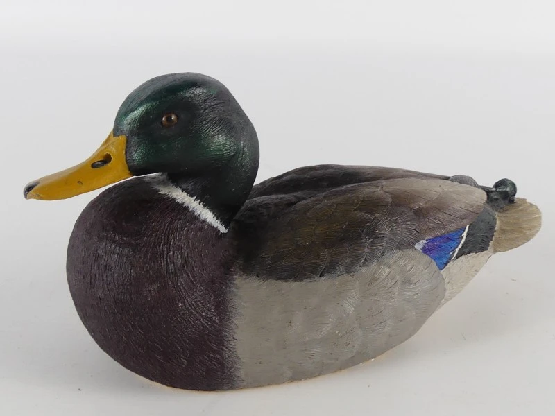 Mallardfamilie (Wilde Eend) – Bijzondere decoratieve eendencollectie