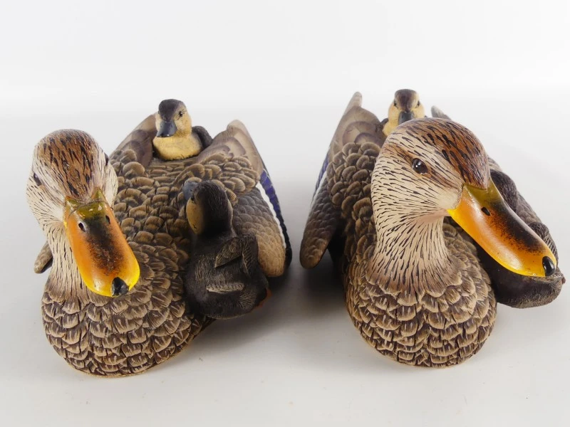 Mallardfamilie (Wilde Eend) – Bijzondere decoratieve eendencollectie