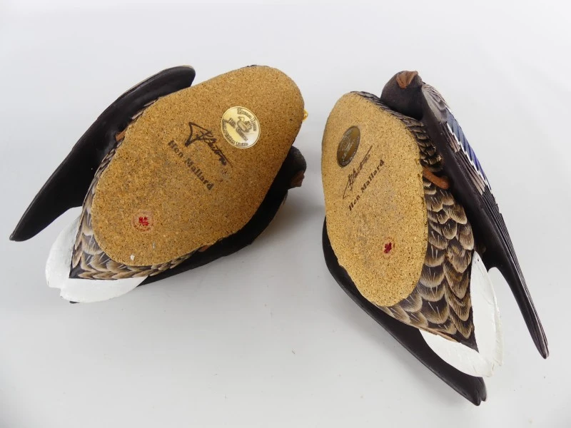 Mallardfamilie (Wilde Eend) – Bijzondere decoratieve eendencollectie
