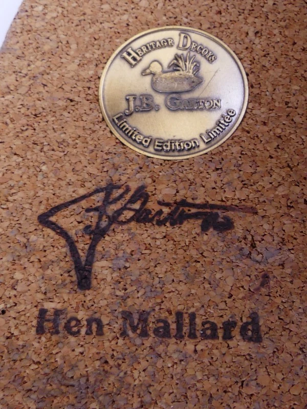 Mallardfamilie (Wilde Eend) – Bijzondere decoratieve eendencollectie