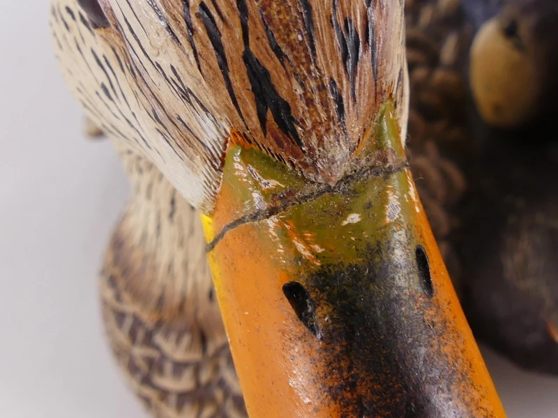 Mallardfamilie (Wilde Eend) – Bijzondere decoratieve eendencollectie