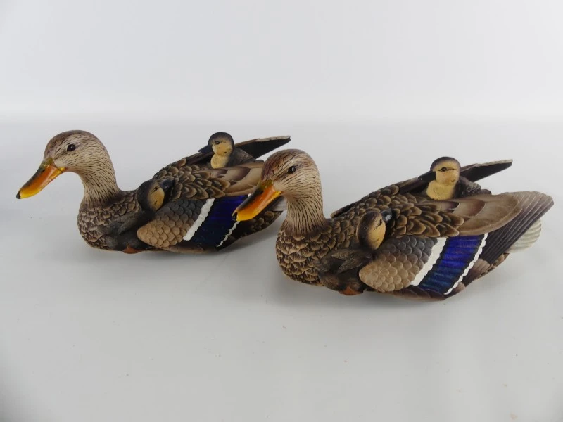 Mallardfamilie (Wilde Eend) – Bijzondere decoratieve eendencollectie