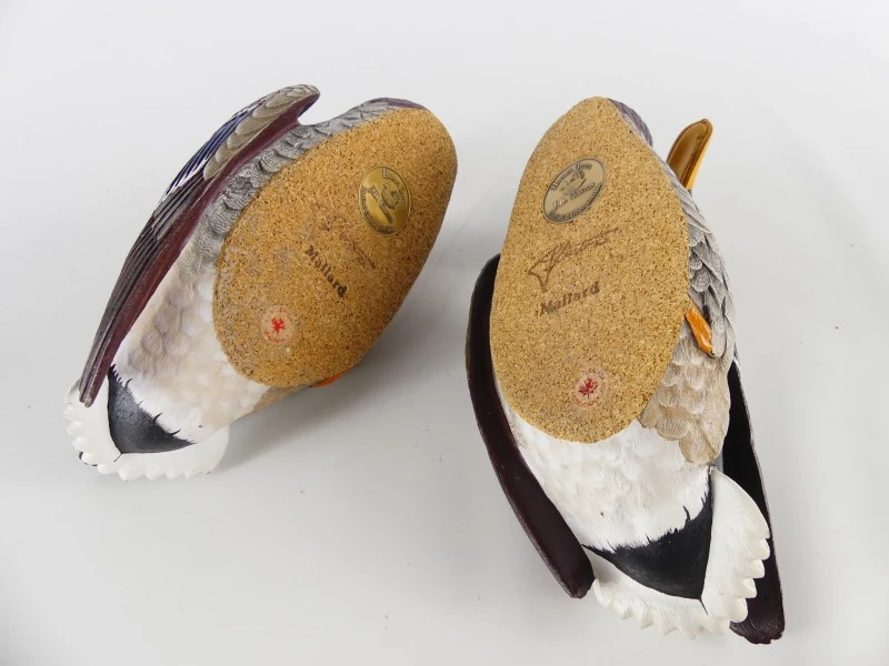 Mallardfamilie (Wilde Eend) – Bijzondere decoratieve eendencollectie
