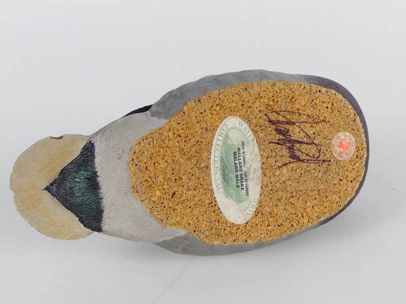 Mallardfamilie (Wilde Eend) – Bijzondere decoratieve eendencollectie