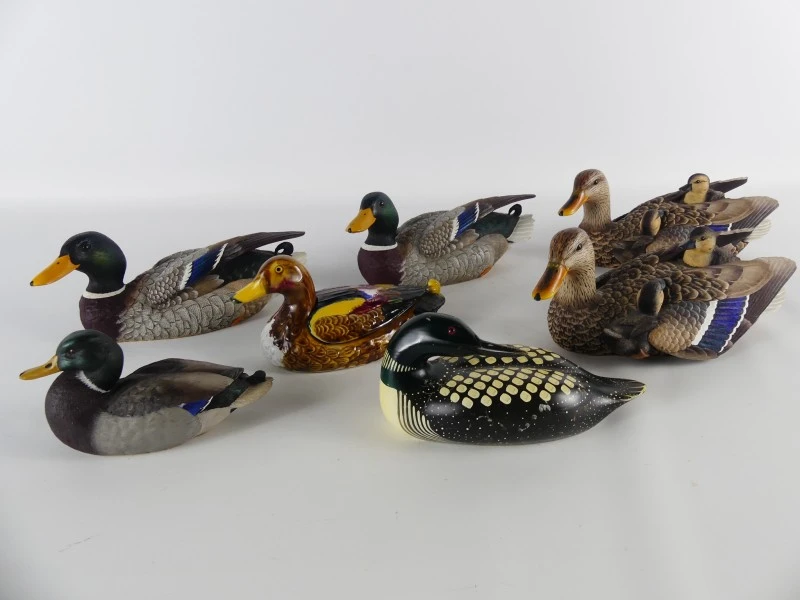 Mallardfamilie (Wilde Eend) – Bijzondere decoratieve eendencollectie