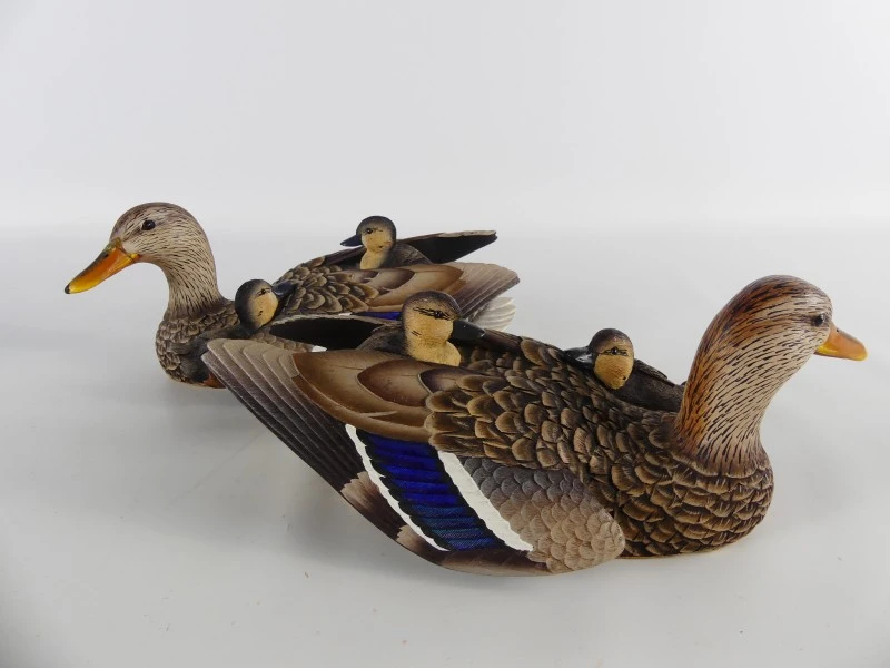 Mallardfamilie (Wilde Eend) – Bijzondere decoratieve eendencollectie