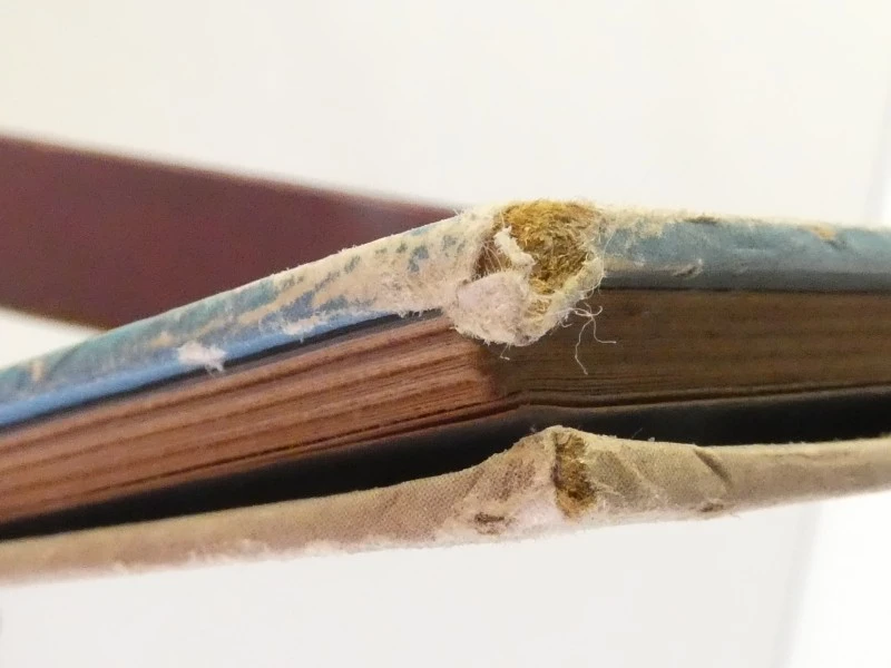Kuifje - De krab met de gulden scharen (Hardcover, Casterman 1956)