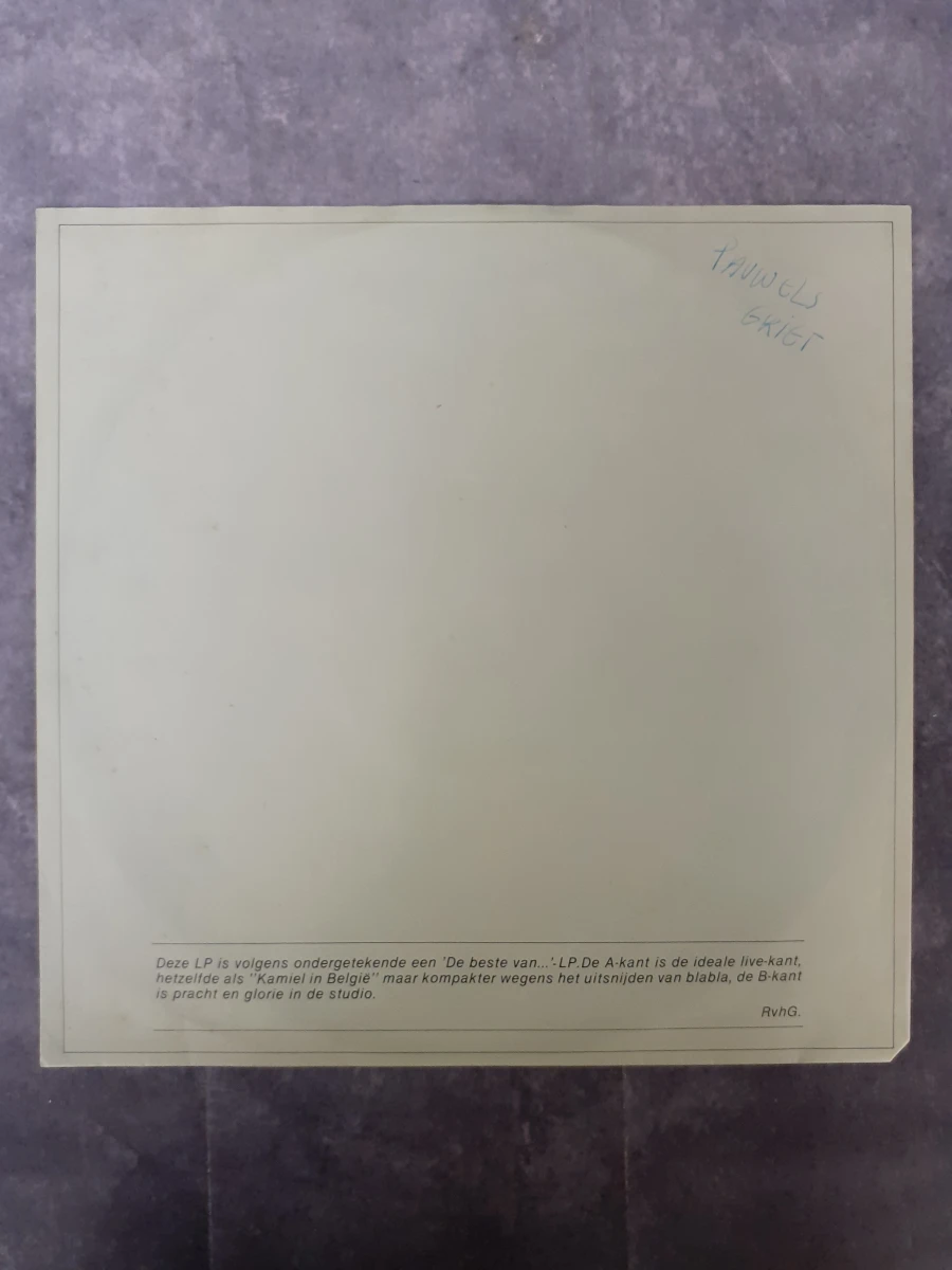 Vinyl: Raymond Van Het Groenewoud - Leven en Liefdes - foto 3