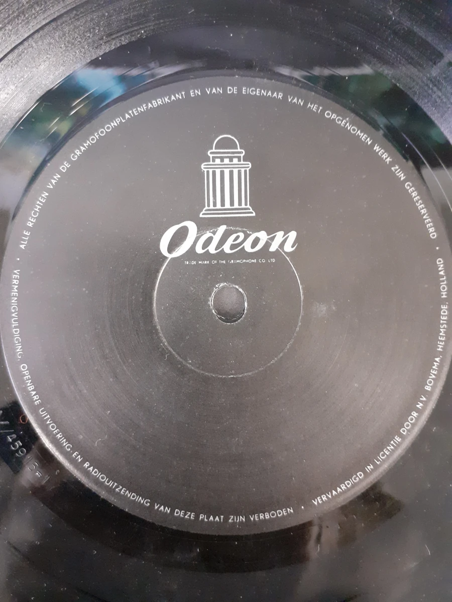 Vinyl: Raymond Van Het Groenewoud - Leven en Liefdes - foto 5