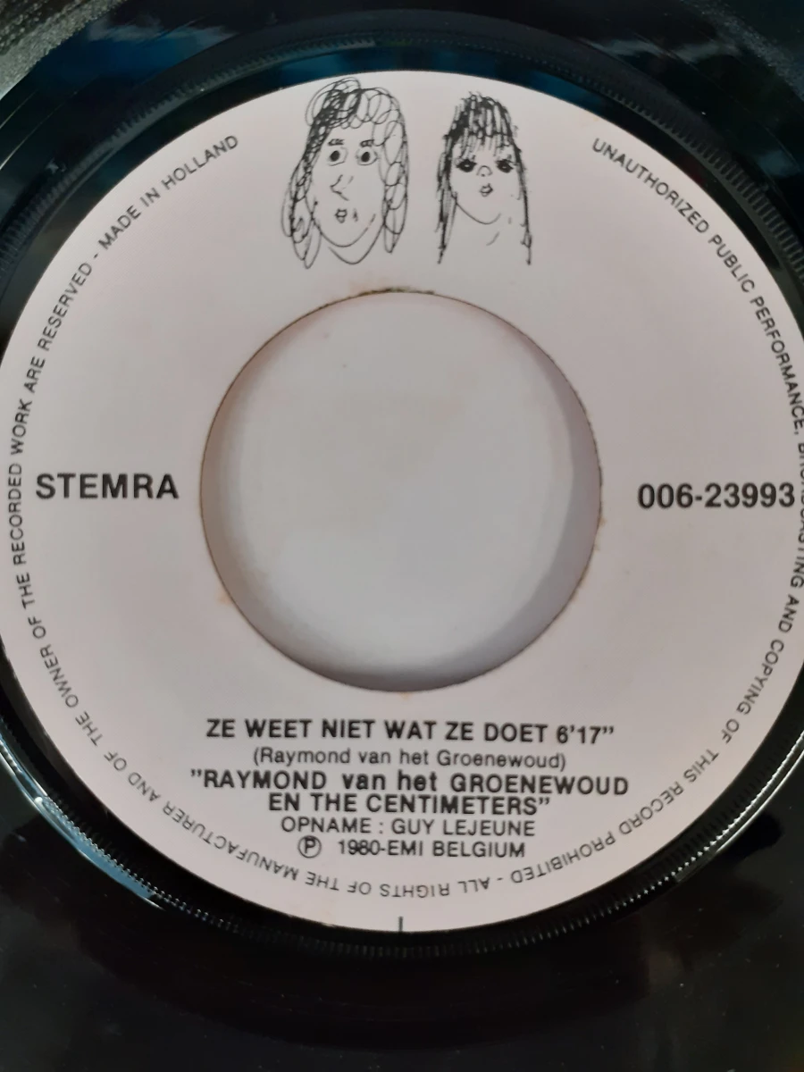 Vinyl: Raymond Van Het Groenewoud - Leven en Liefdes - foto 7