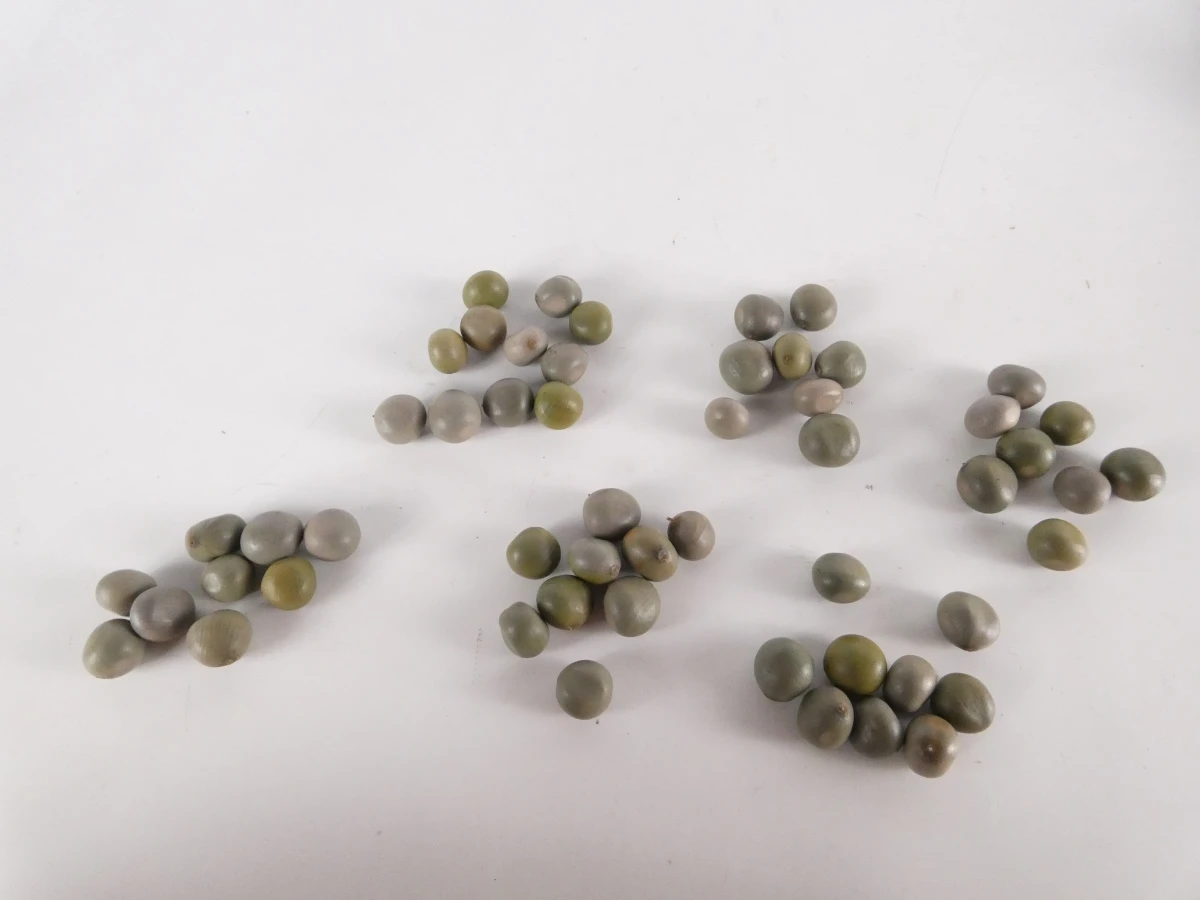Houten Mancala-spel met plantenzaden
