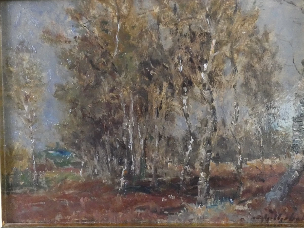 Set van 2 ingelijste olieverfschilderijen met landschappen