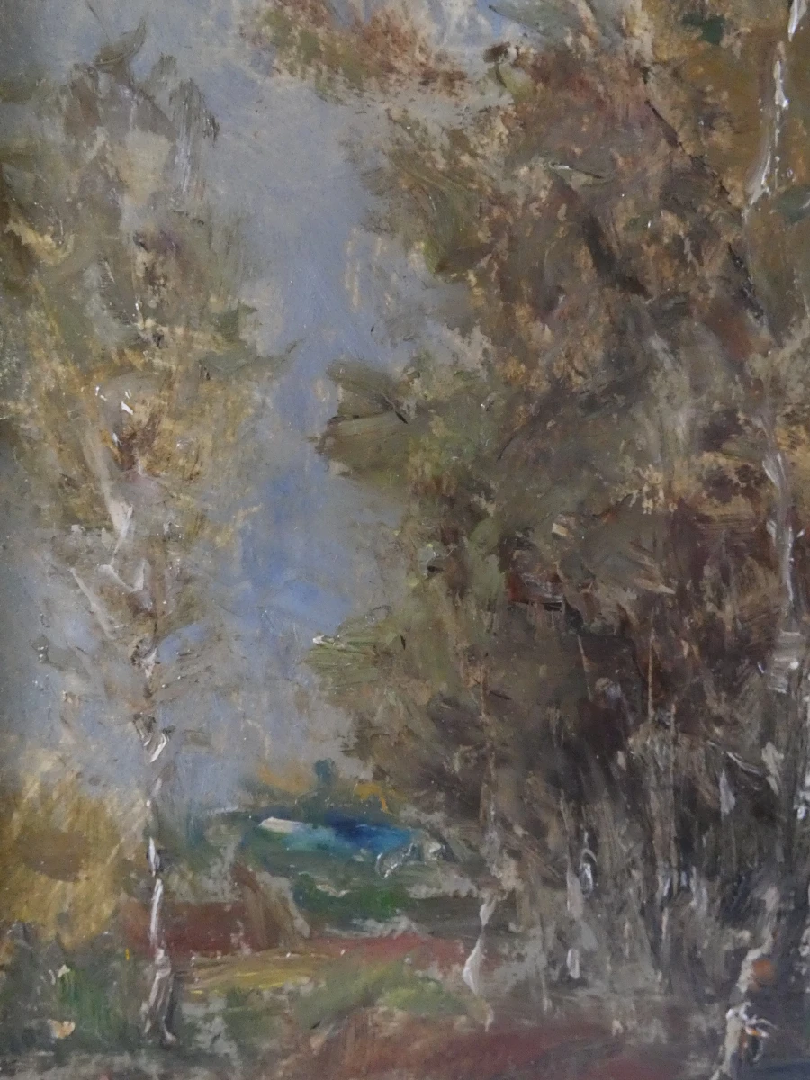 Set van 2 ingelijste olieverfschilderijen met landschappen
