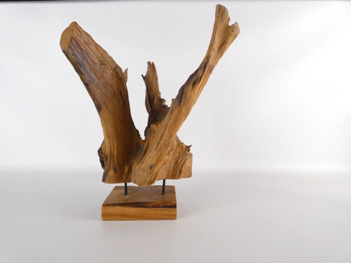 Abstracte sculptuur van natuurlijk boom
