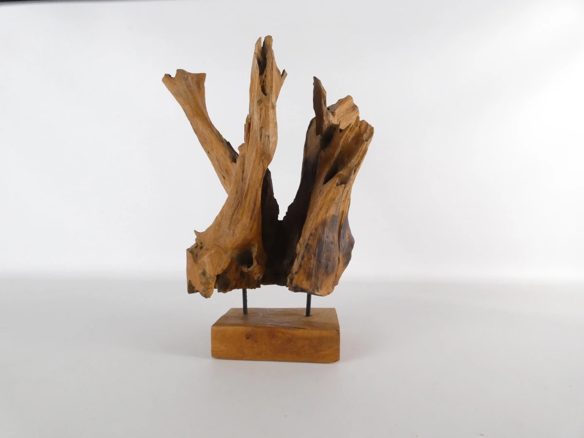 Abstracte sculptuur van natuurlijk boom