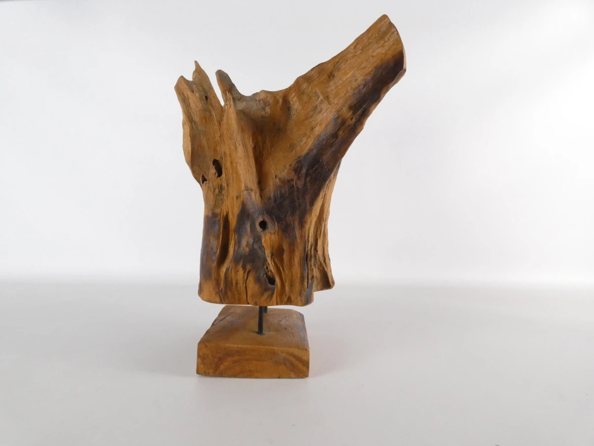 Abstracte sculptuur van natuurlijk boom