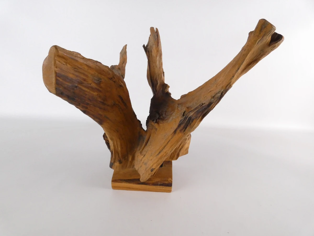 Abstracte sculptuur van natuurlijk boom