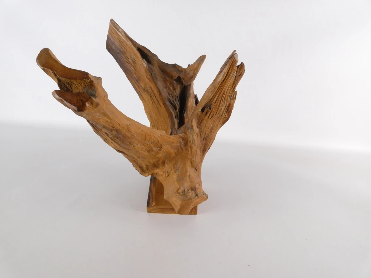 Abstracte sculptuur van natuurlijk boom