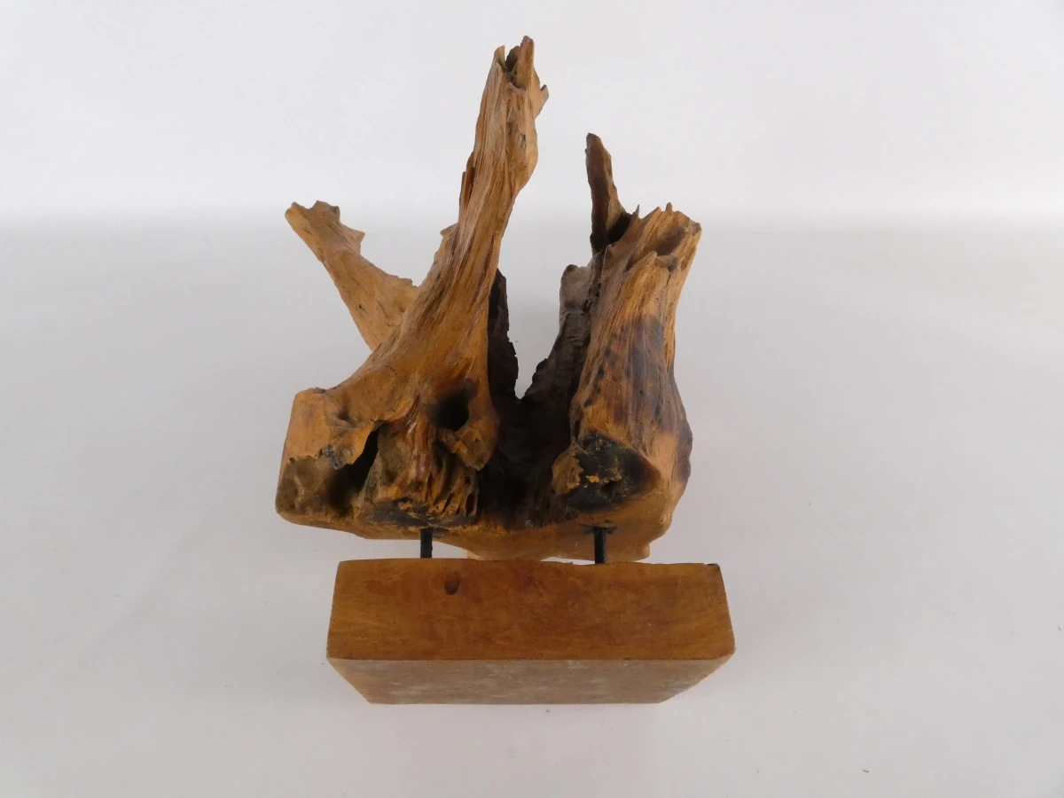 Abstracte sculptuur van natuurlijk boom