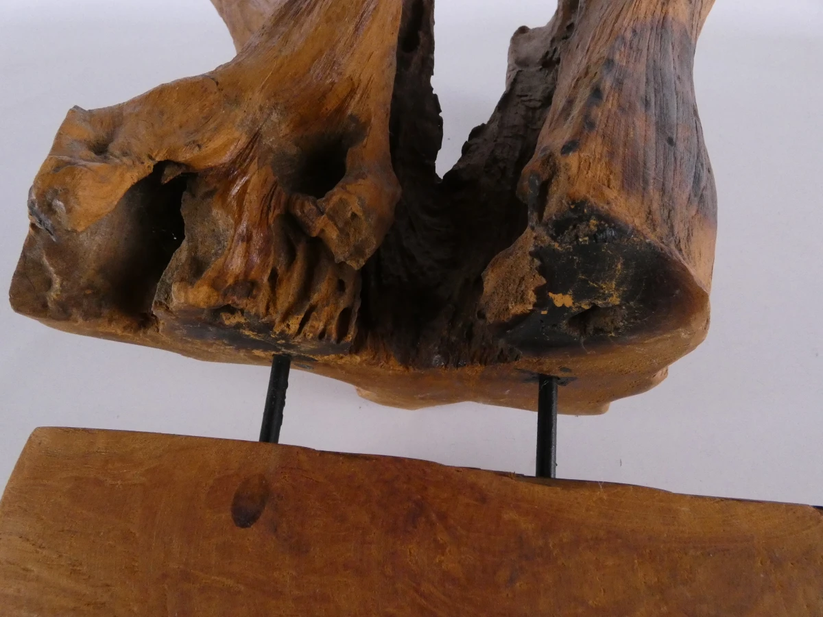 Abstracte sculptuur van natuurlijk boom