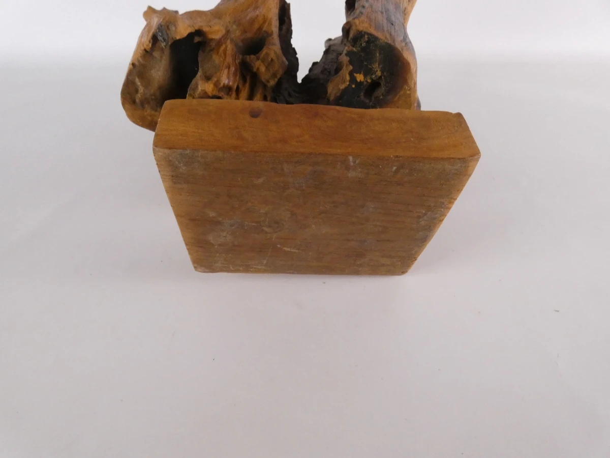 Abstracte sculptuur van natuurlijk boom