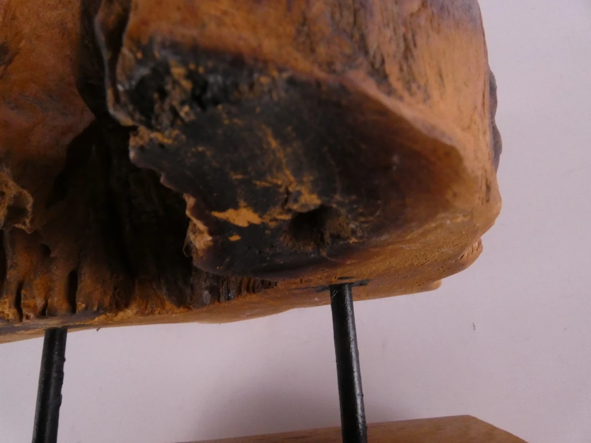 Abstracte sculptuur van natuurlijk boom