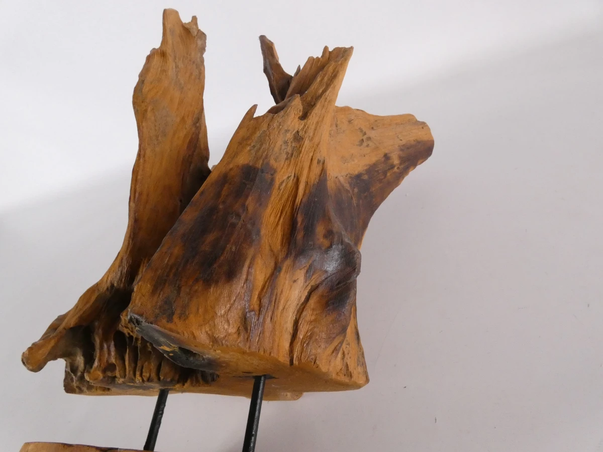 Abstracte sculptuur van natuurlijk boom