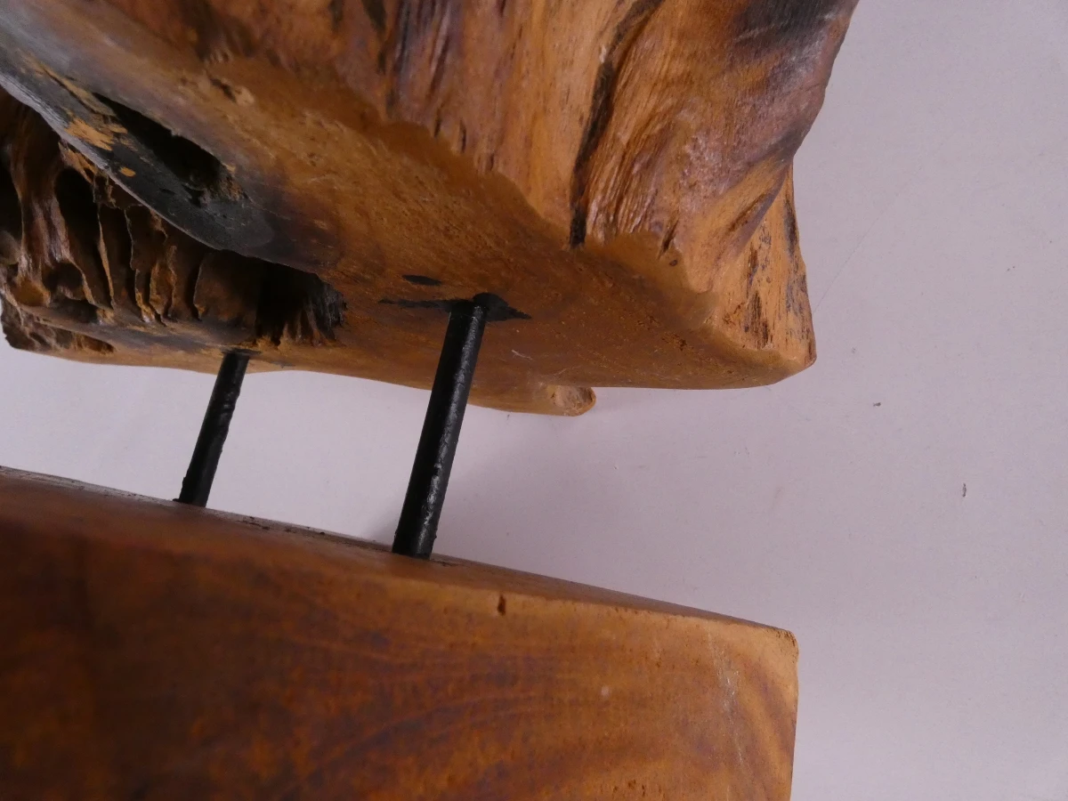 Abstracte sculptuur van natuurlijk boom