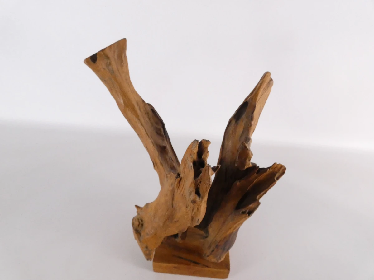Abstracte sculptuur van natuurlijk boom