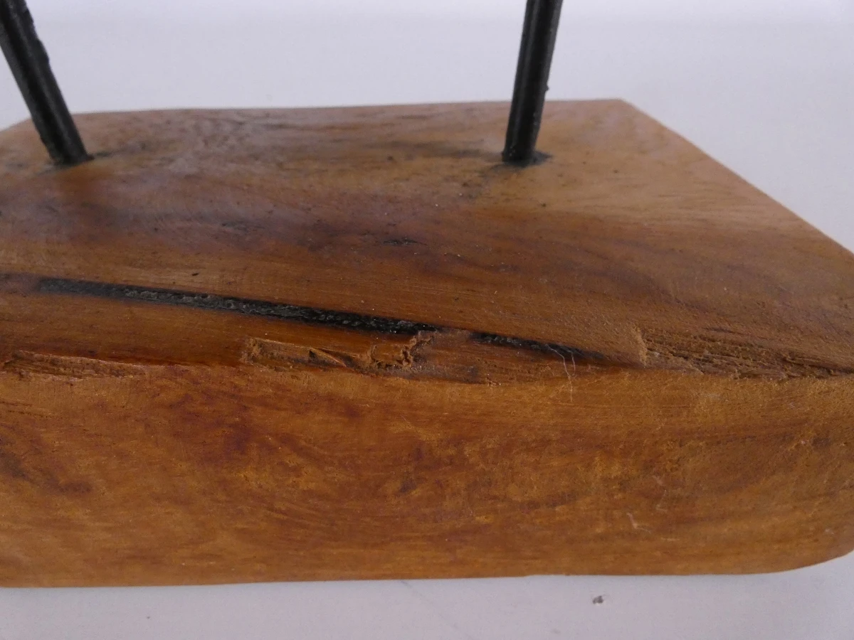 Abstracte sculptuur van natuurlijk boom