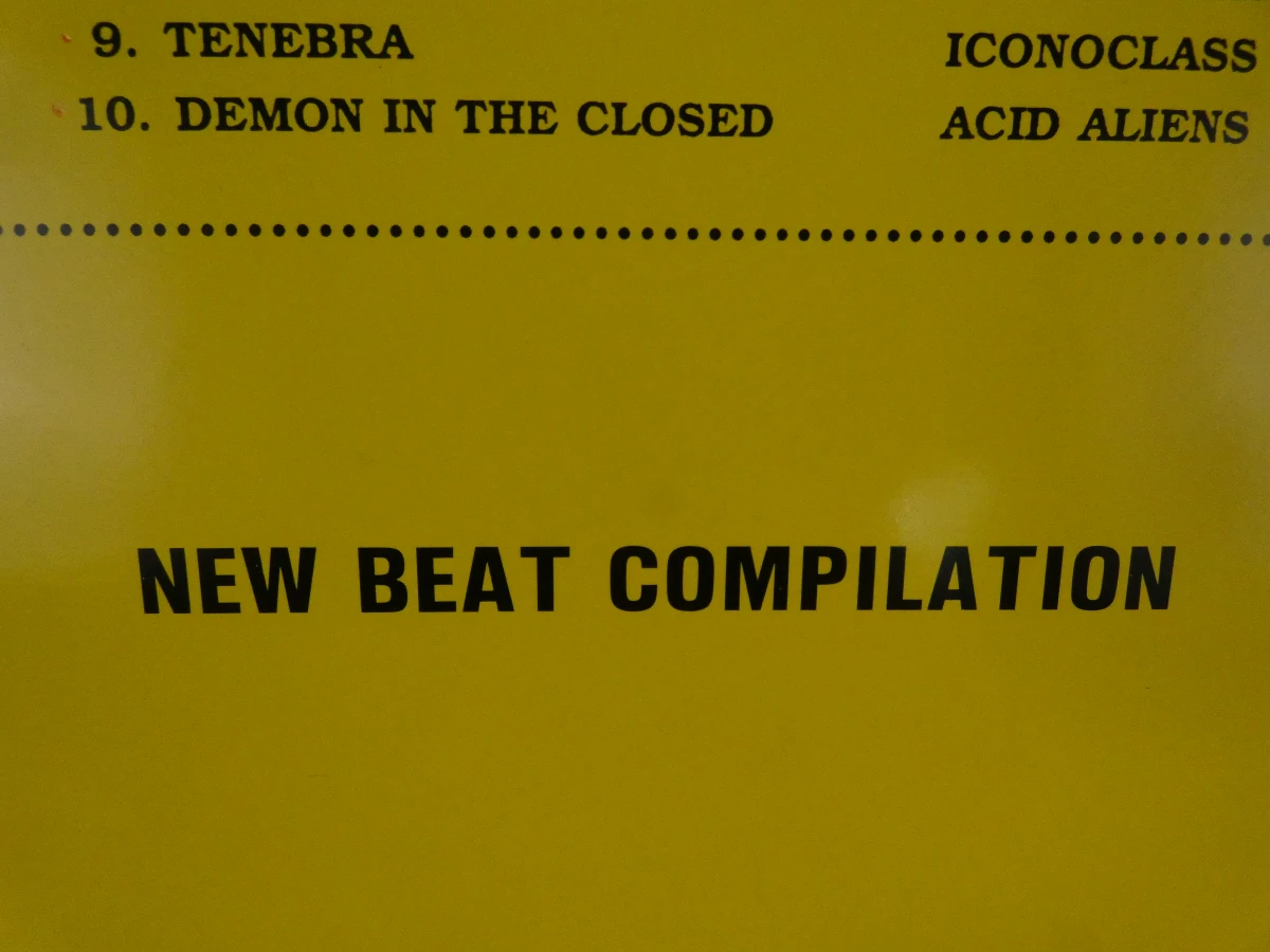 23 Verzameling vinylplaten New Beat en elektronische muziek