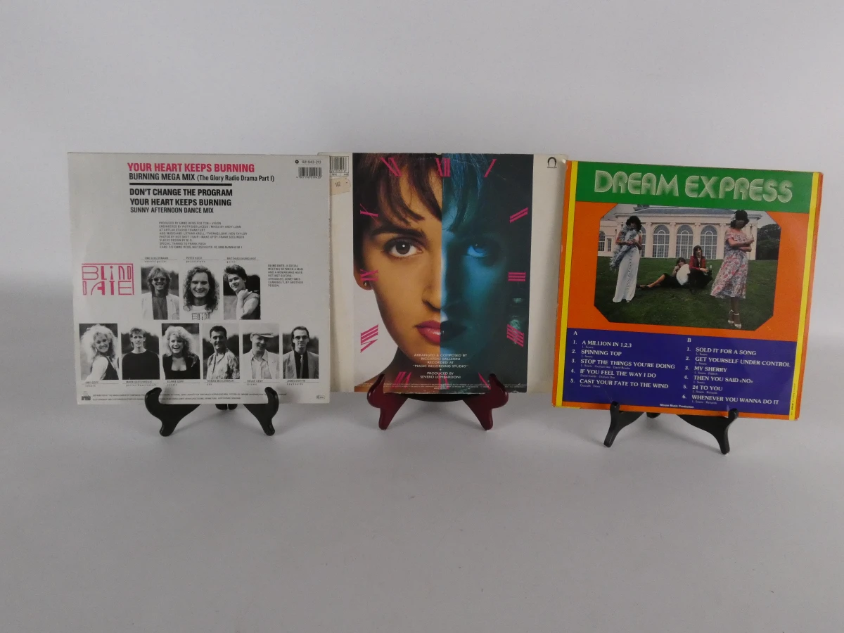 Set van 22 vinylplaten – diverse artiesten uit de jaren 70, 80 en 90
