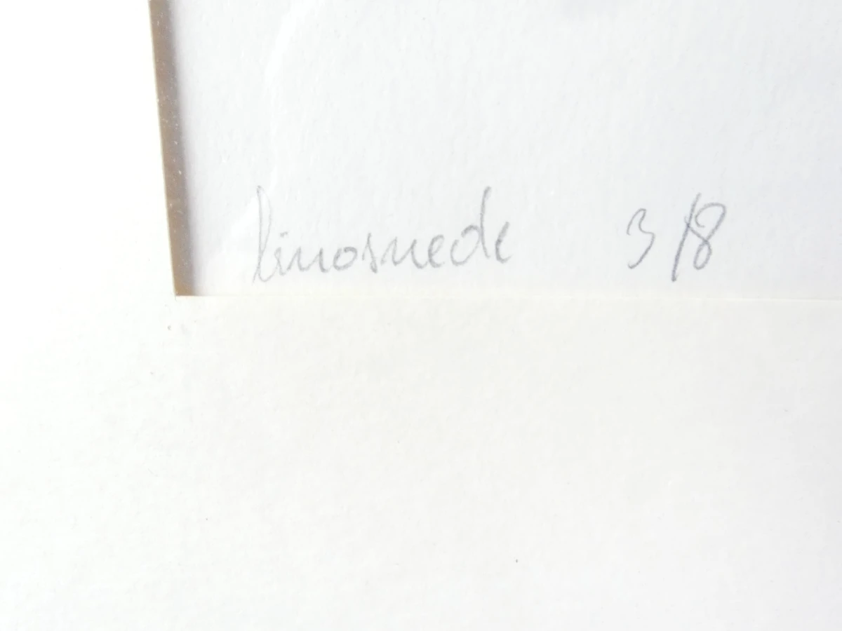 Linosnede van paard en ruiter, gesigneerd Paul Brouwers 1973