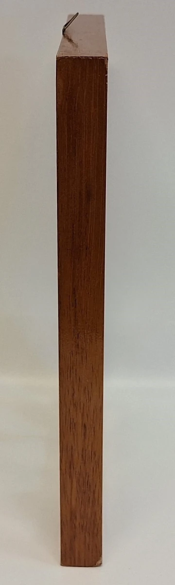 Vlindercollectie - foto 3