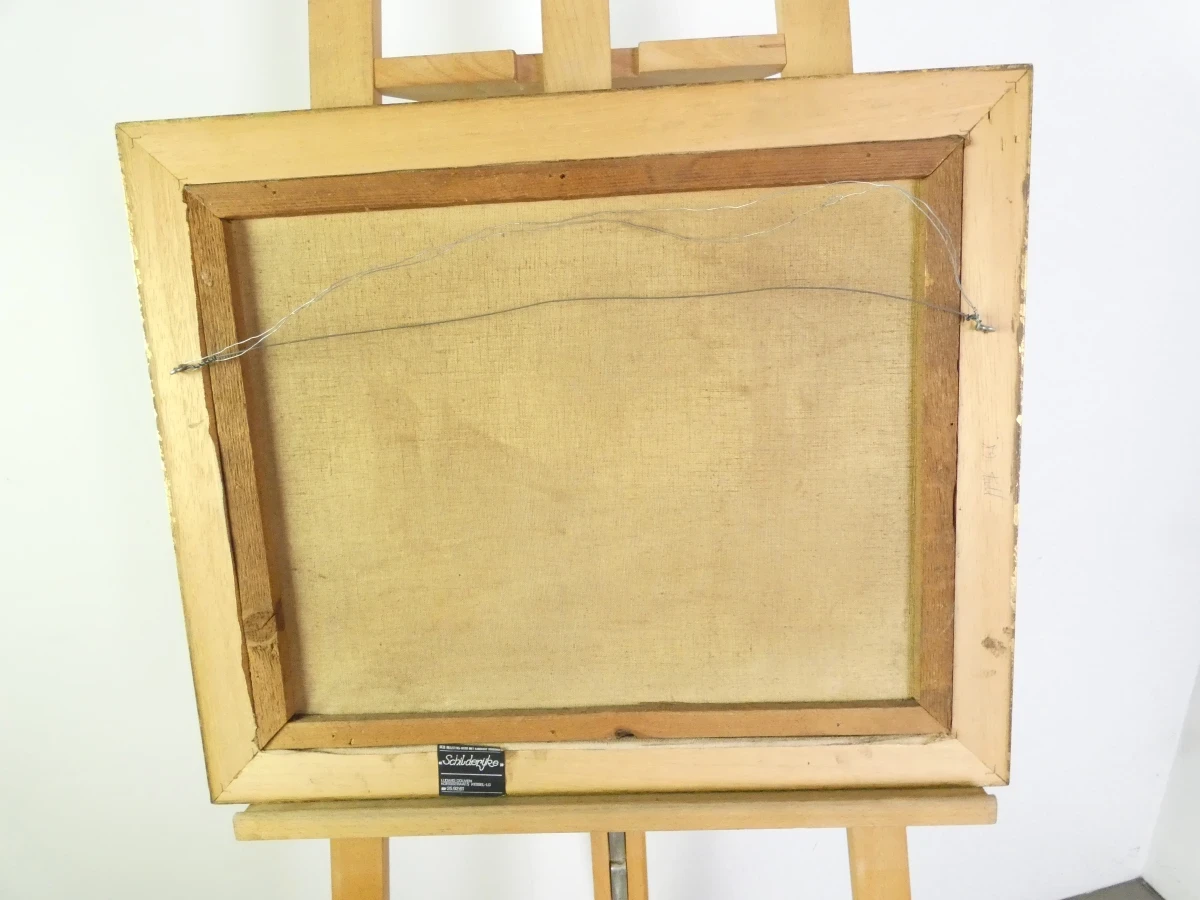 Vintage landschap met molen