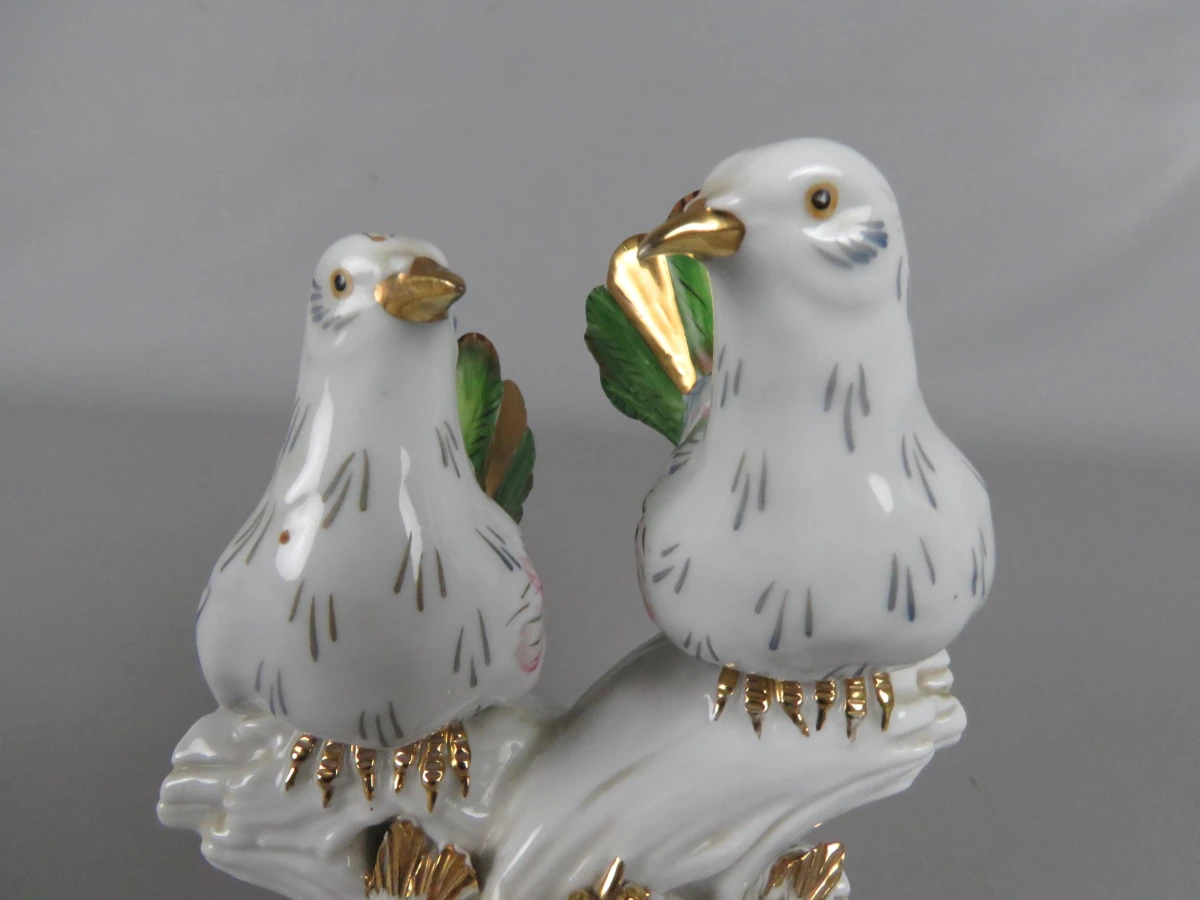 Astro beeld vogels