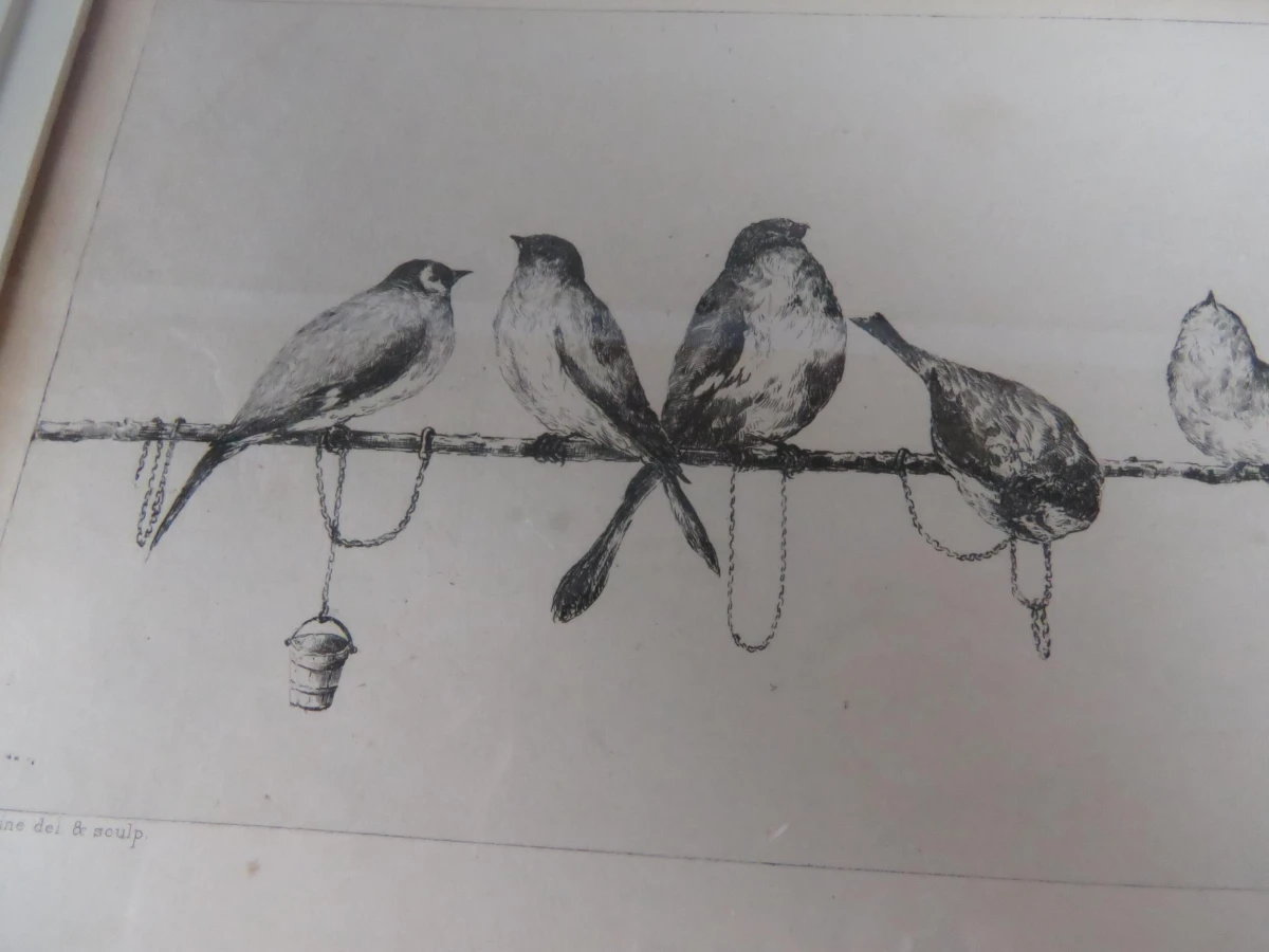 D'aubépine druk van vogels op een tak
