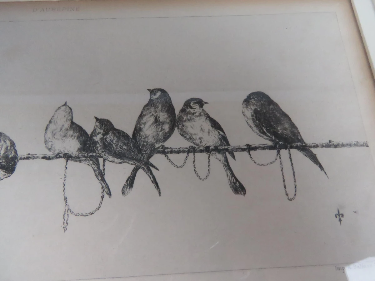 D'aubépine druk van vogels op een tak