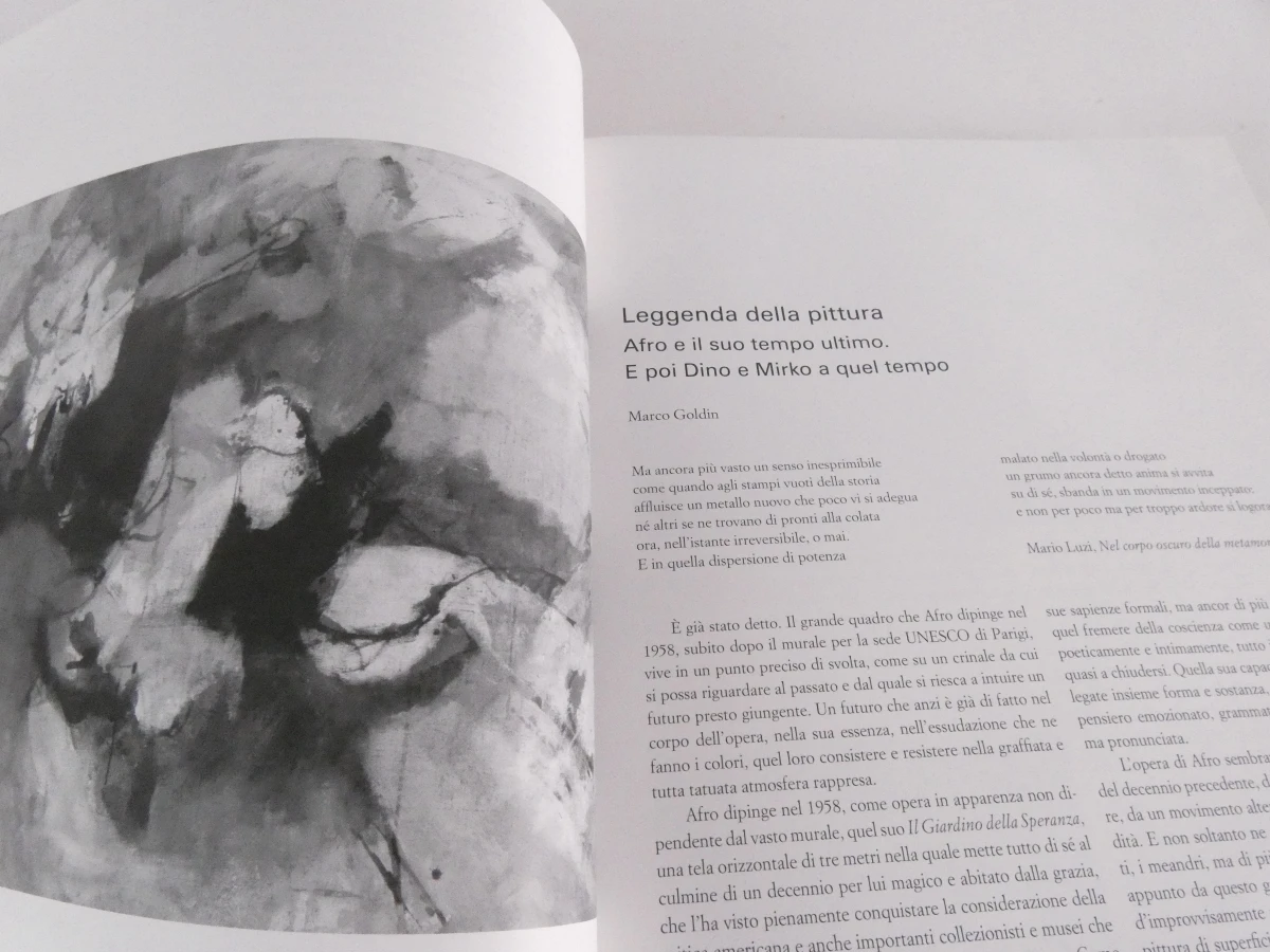 Boek I Basaldella Dino Mirko Afro kunst