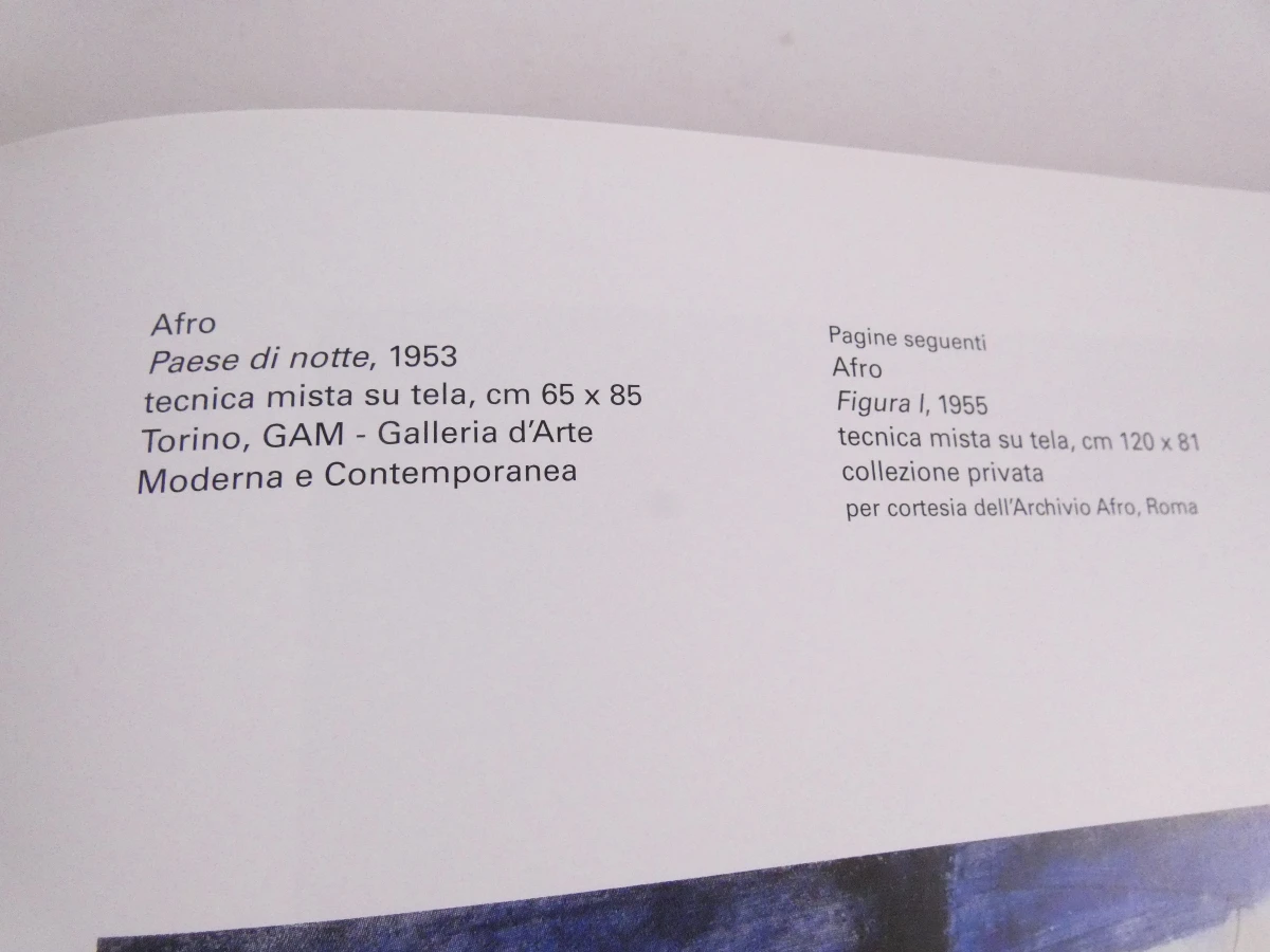 Boek I Basaldella Dino Mirko Afro kunst