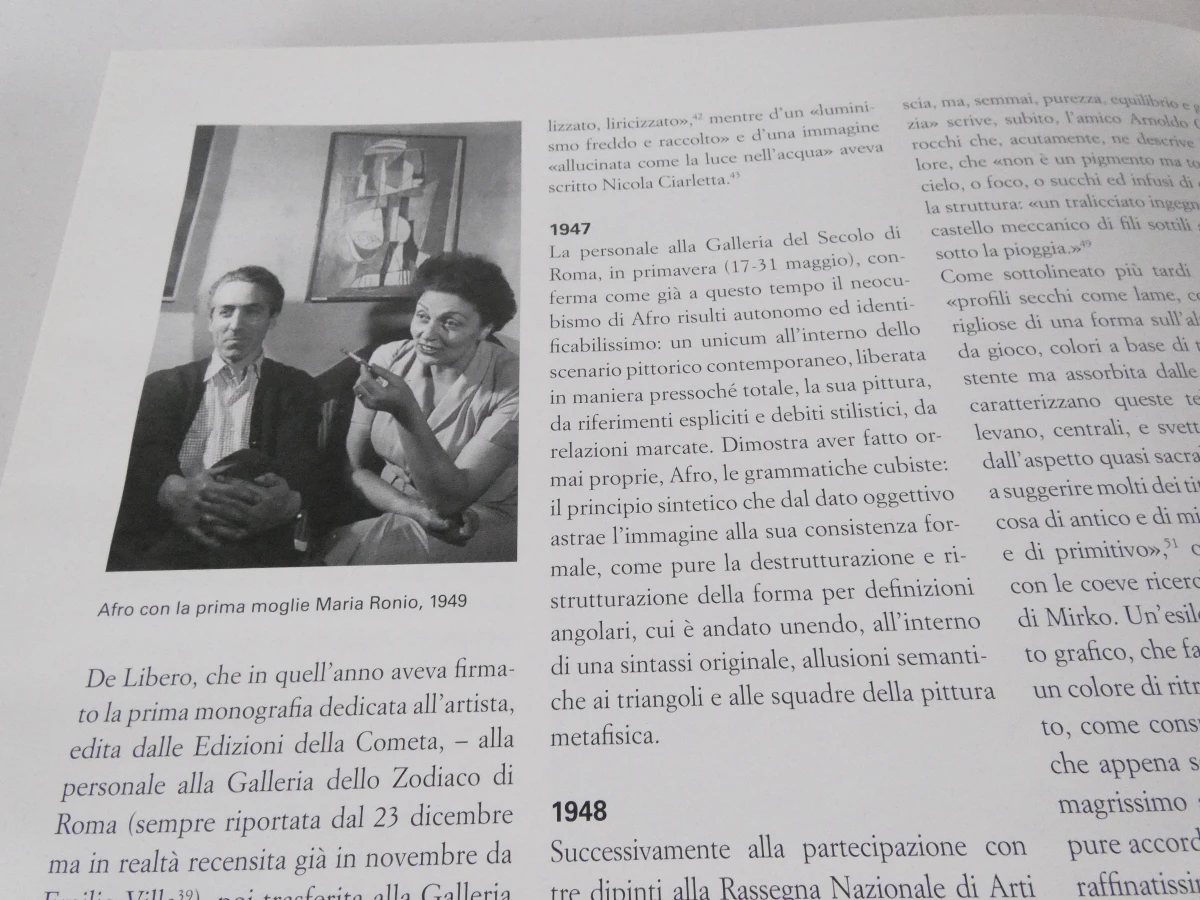 Boek I Basaldella Dino Mirko Afro kunst