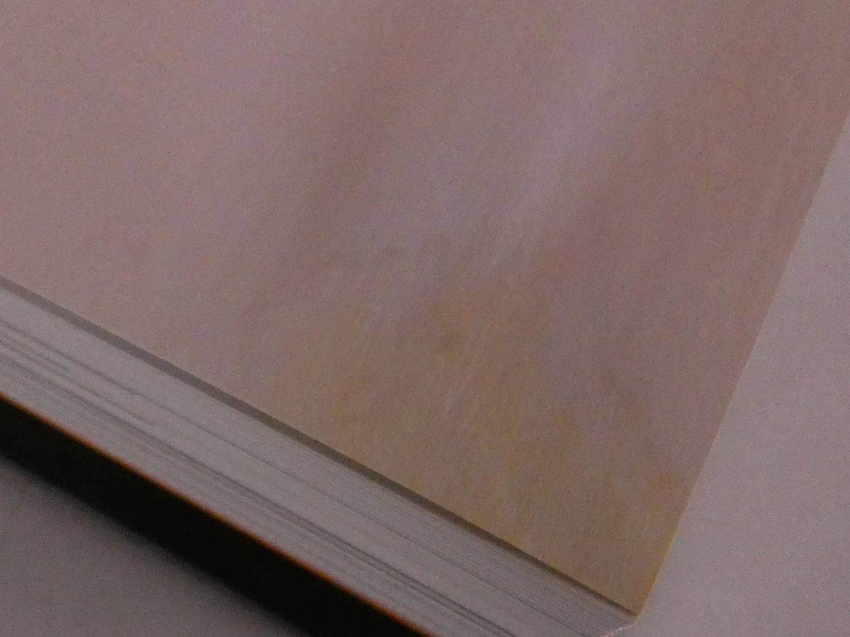 Boek I Basaldella Dino Mirko Afro kunst