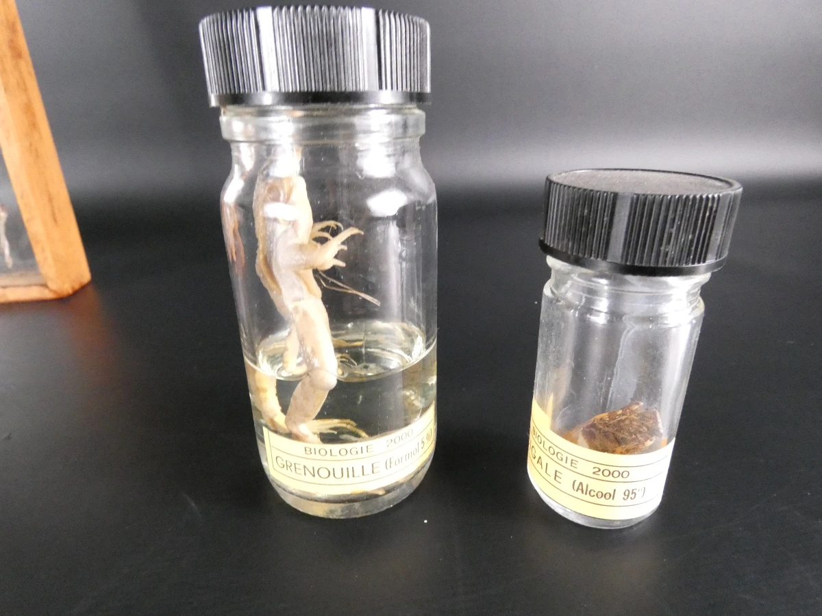 Biologische preparaten, harspreparaten, natuurhistorische specimens.