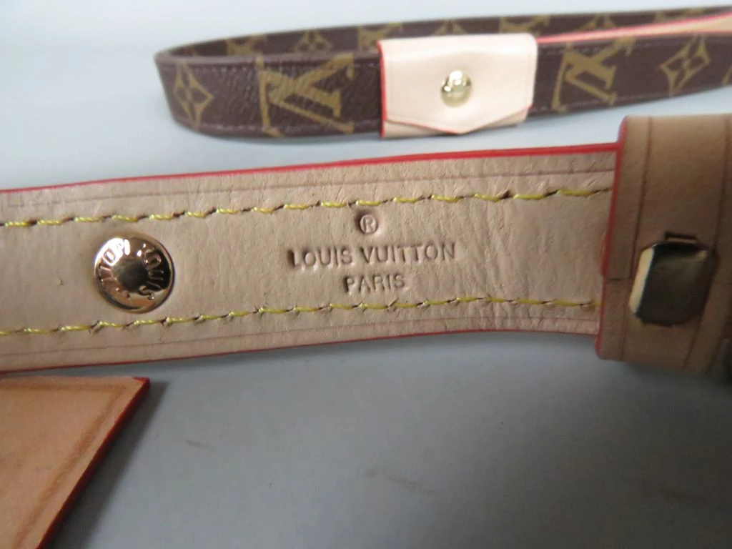 Louis Vuitton gemerkte hondenriem met leren details