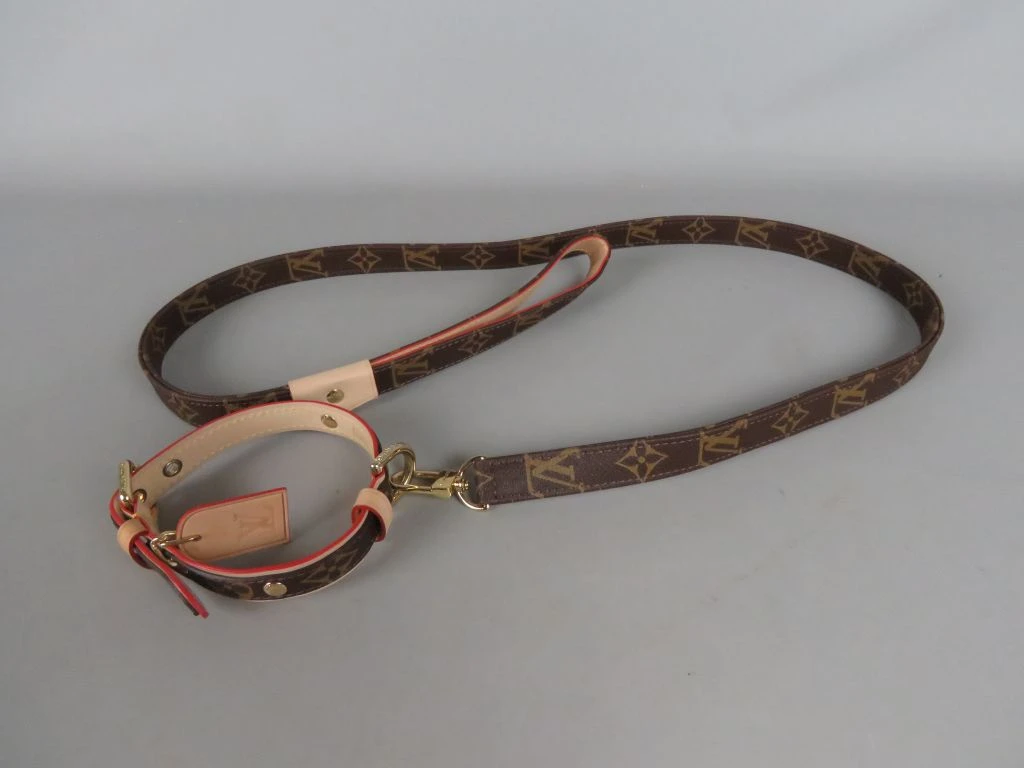 Louis Vuitton gemerkte hondenriem met leren details
